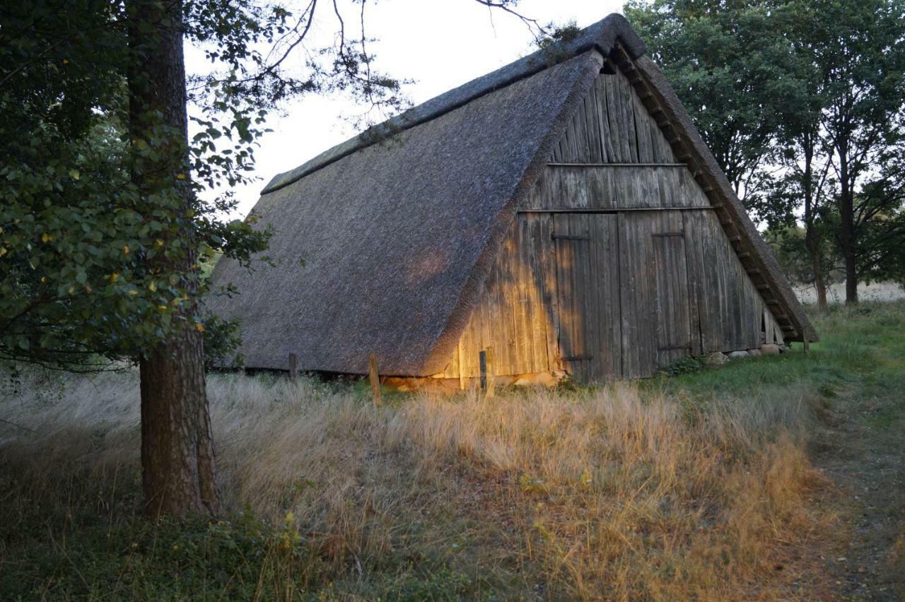 Ferienhaus Wahlers Bispingen Buitenkant foto