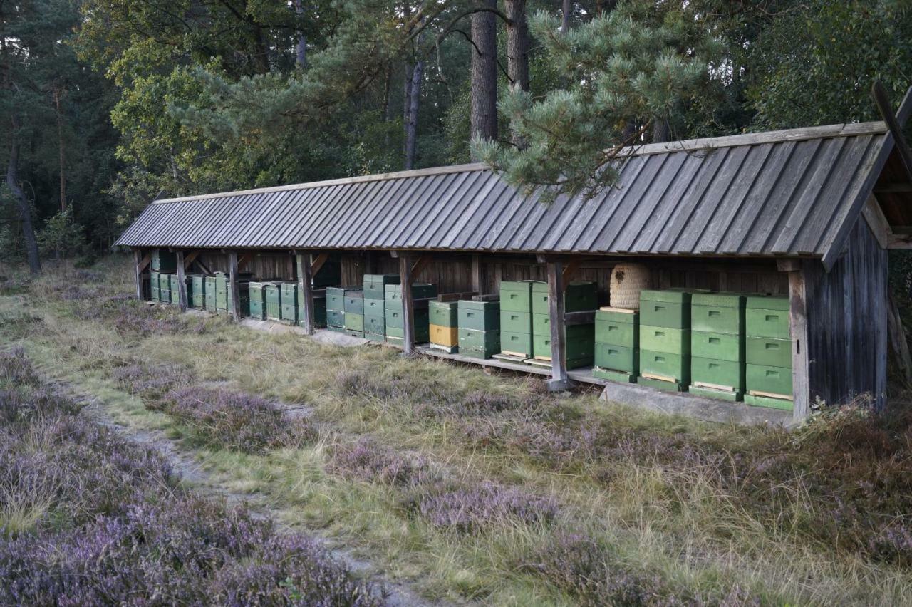 Ferienhaus Wahlers Bispingen Buitenkant foto