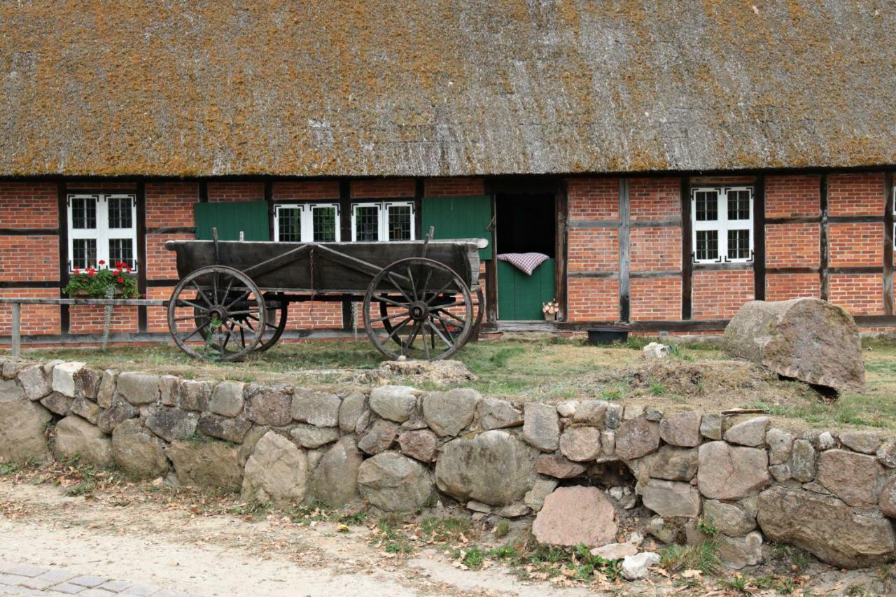 Ferienhaus Wahlers Bispingen Buitenkant foto
