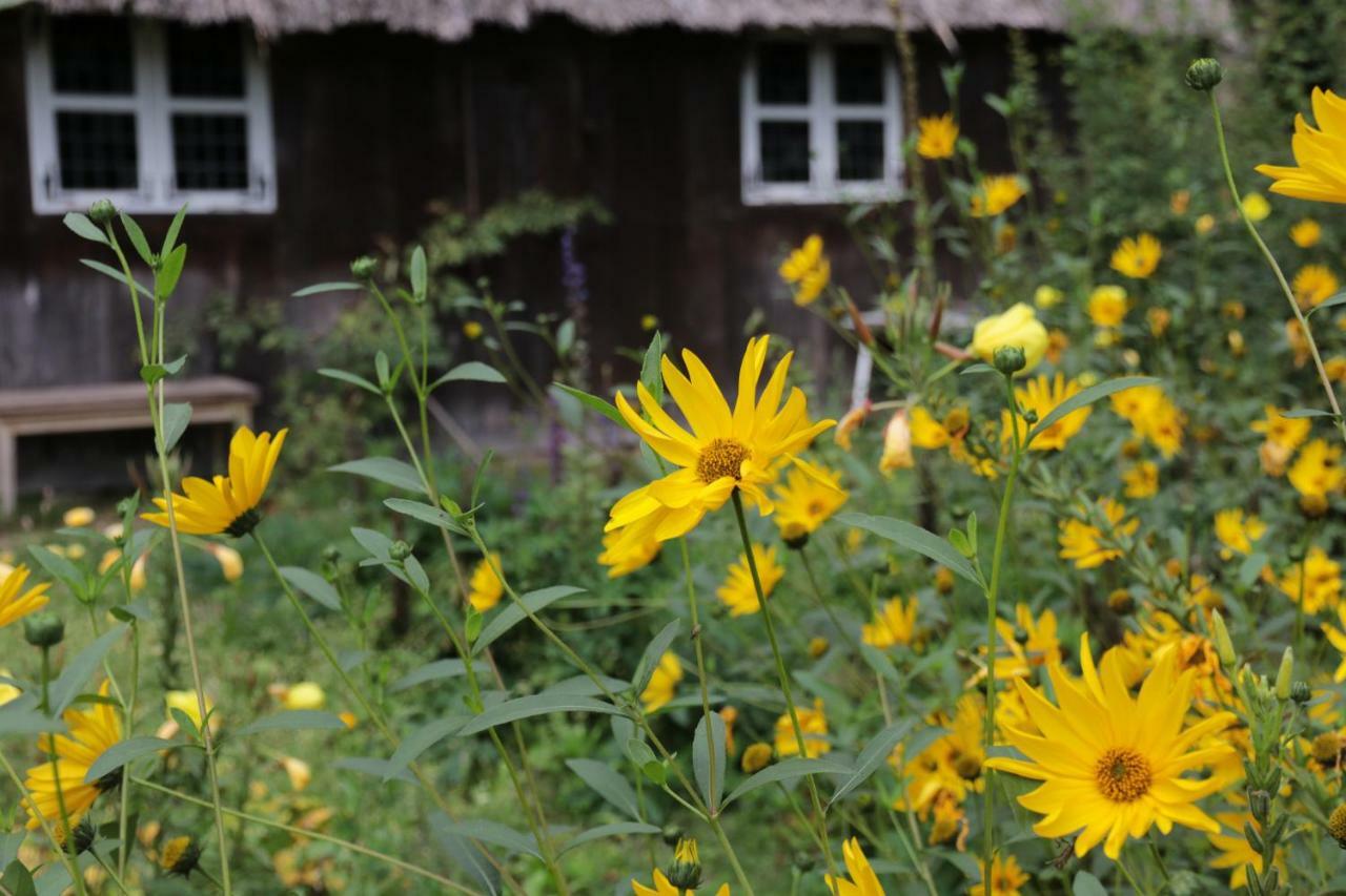 Ferienhaus Wahlers Bispingen Buitenkant foto